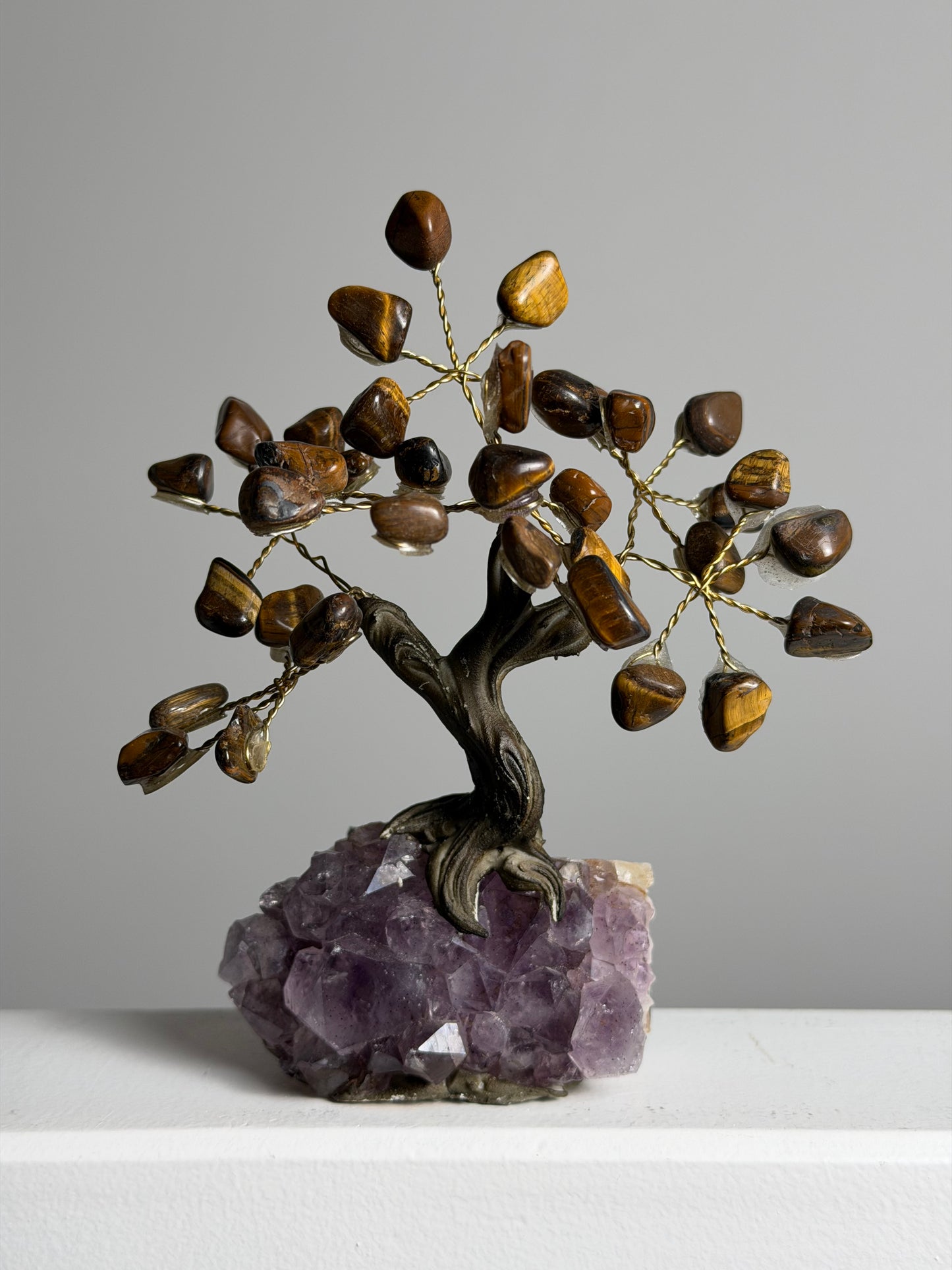 Tijgeroog Edelsteenboom