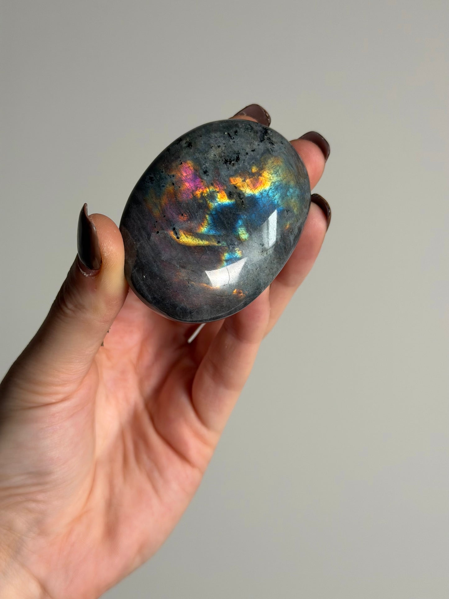 Labradoriet Palmsteen