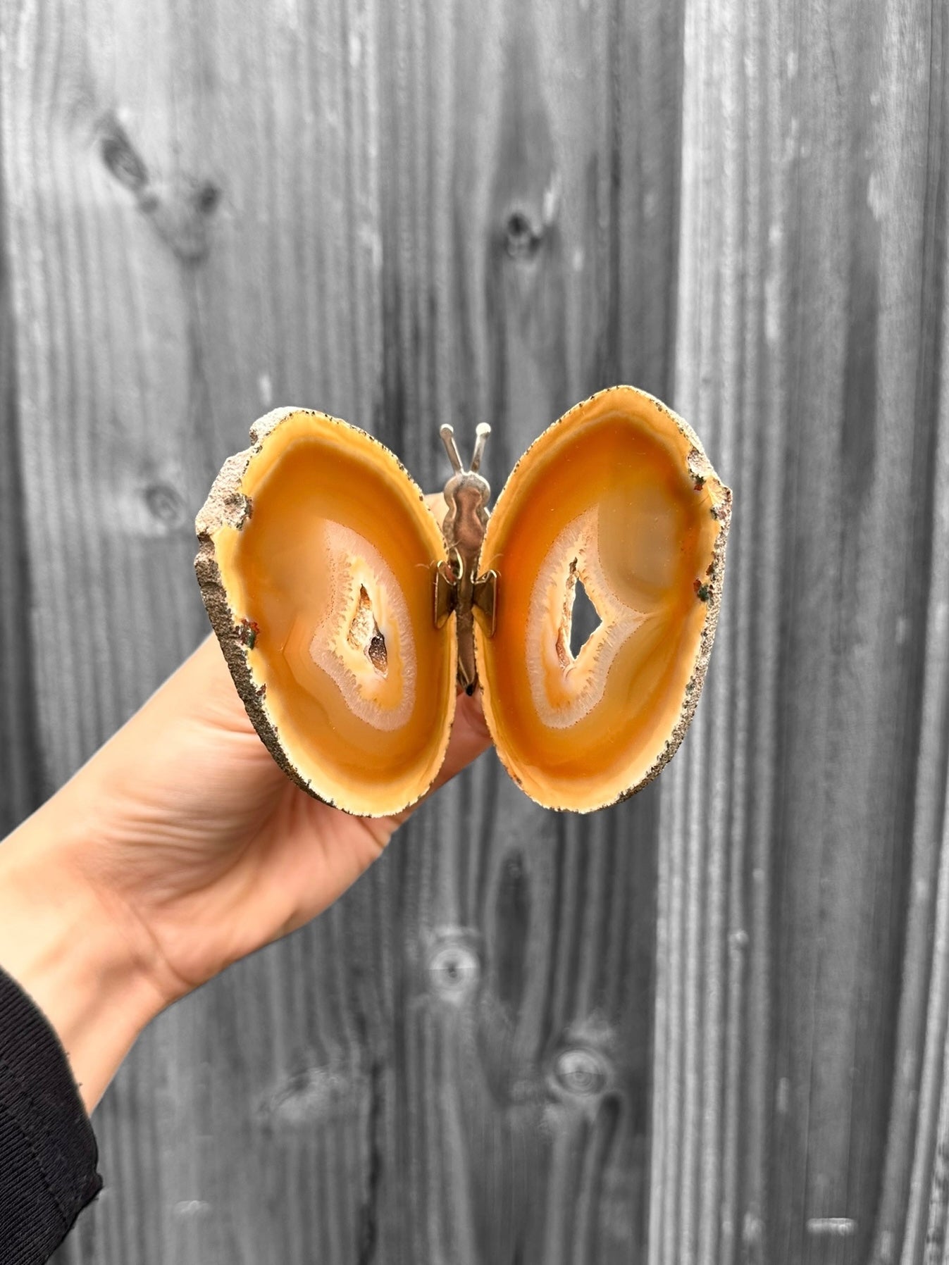 Vlinder Medium