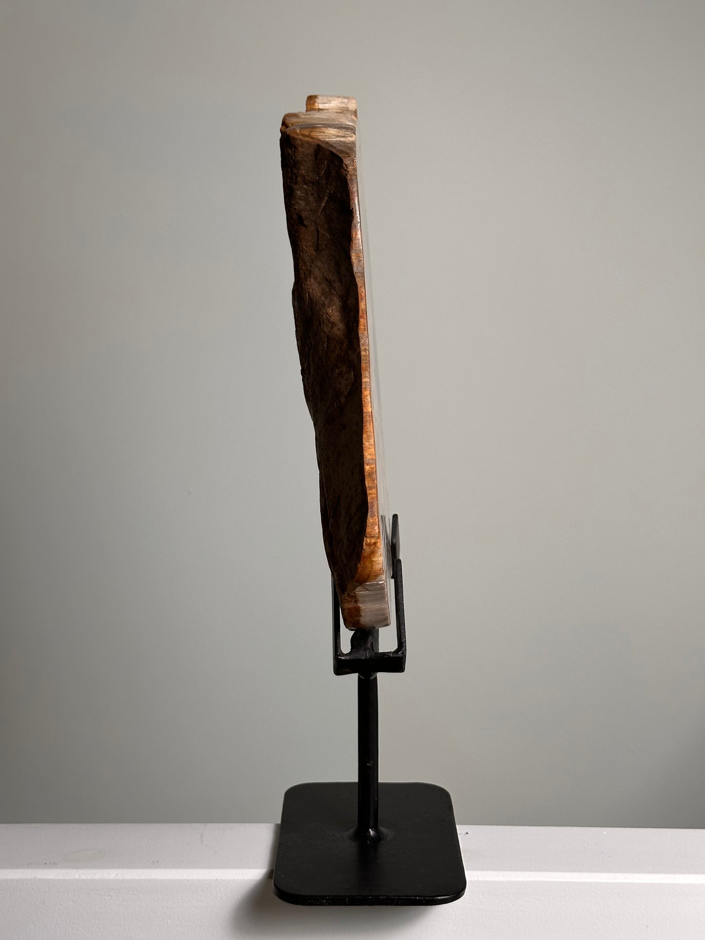 Versteend Hout op standaard