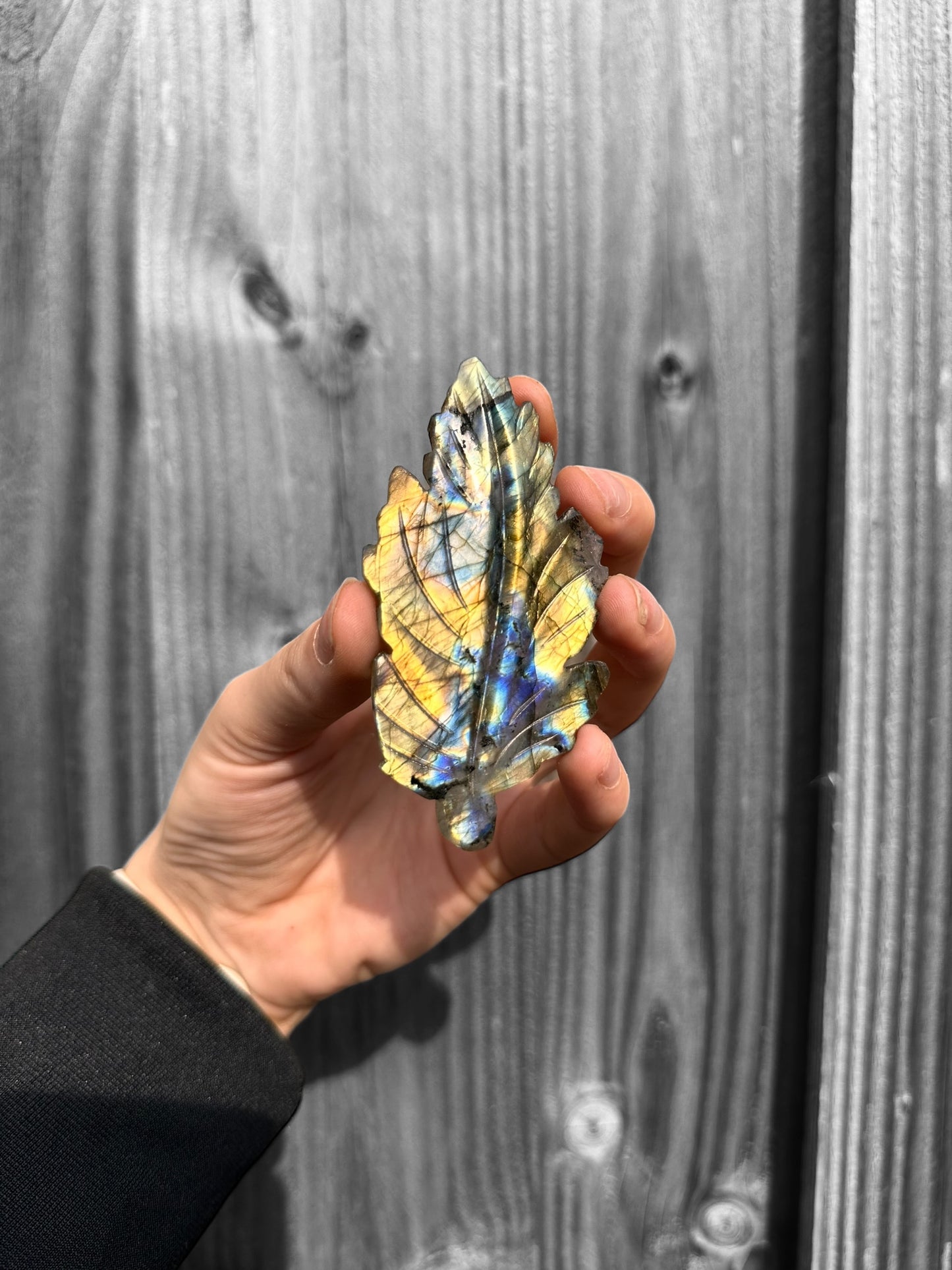 Labradorite Leaf