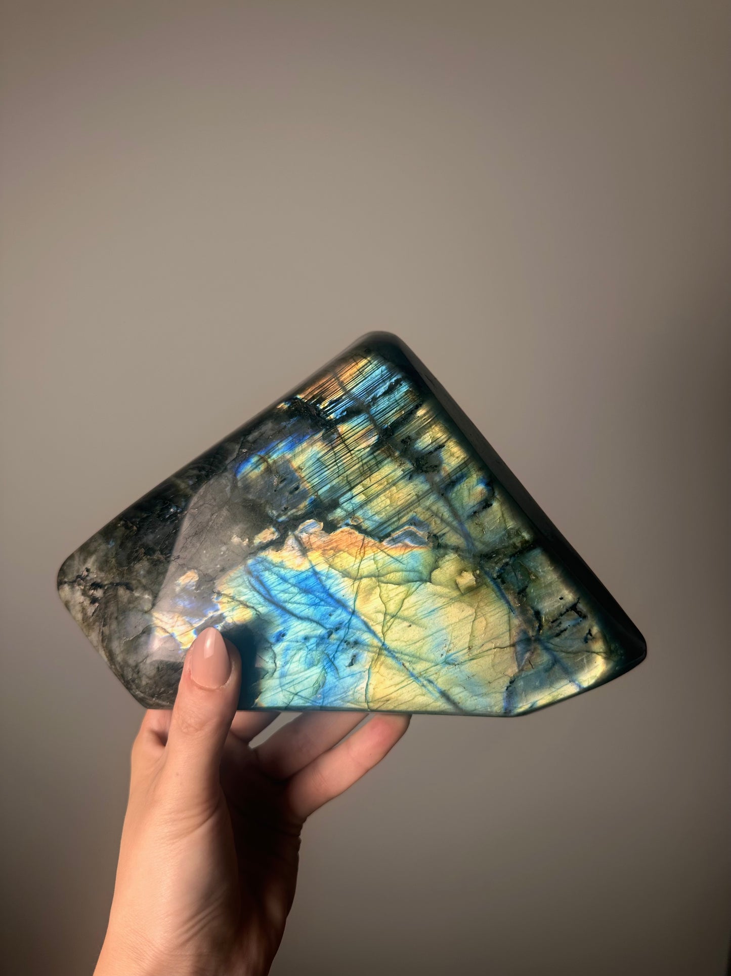 Labradoriet Standvlak