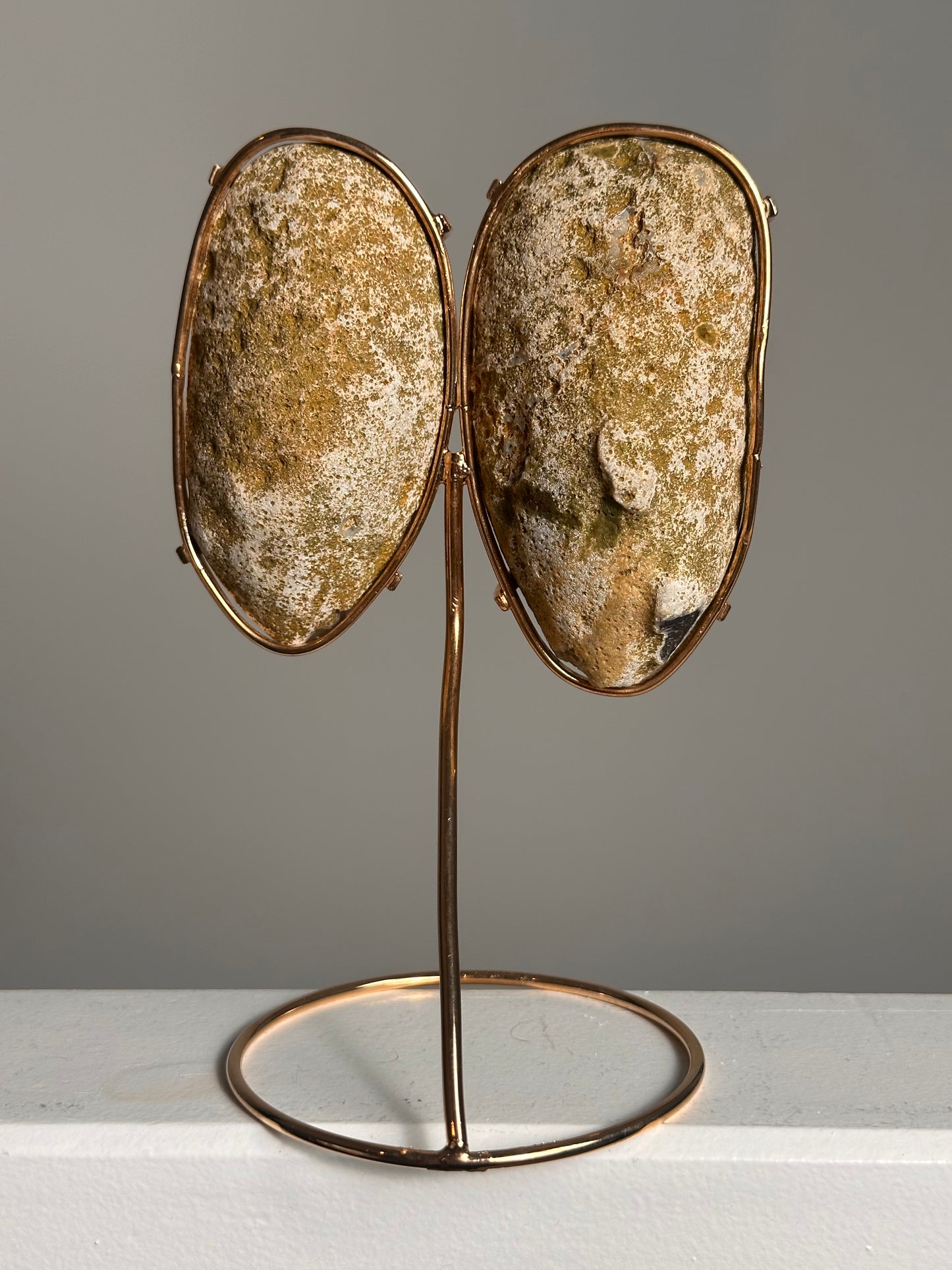 Agaat Geode Vlinder