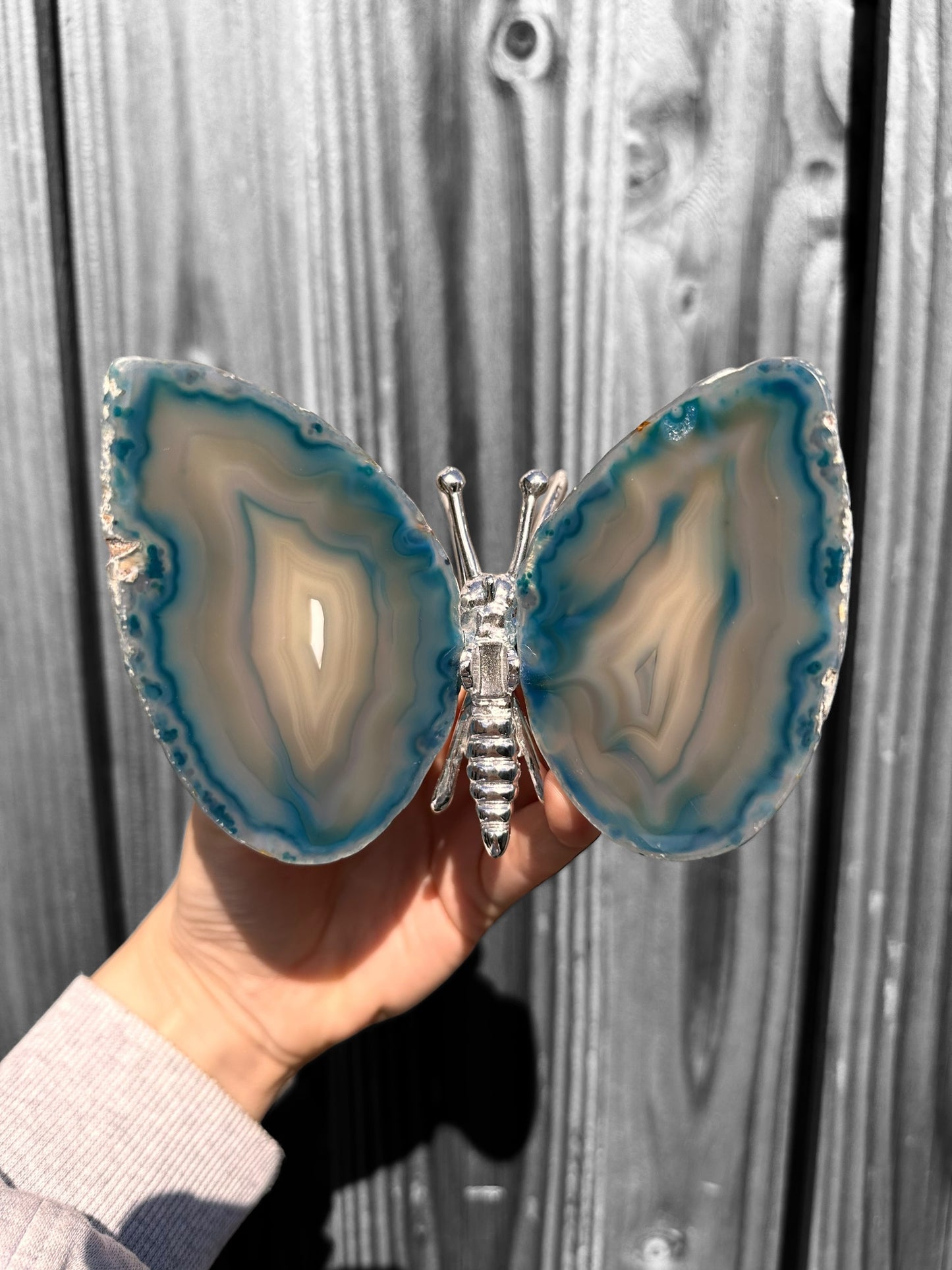 Ágata mariposa azul grande
