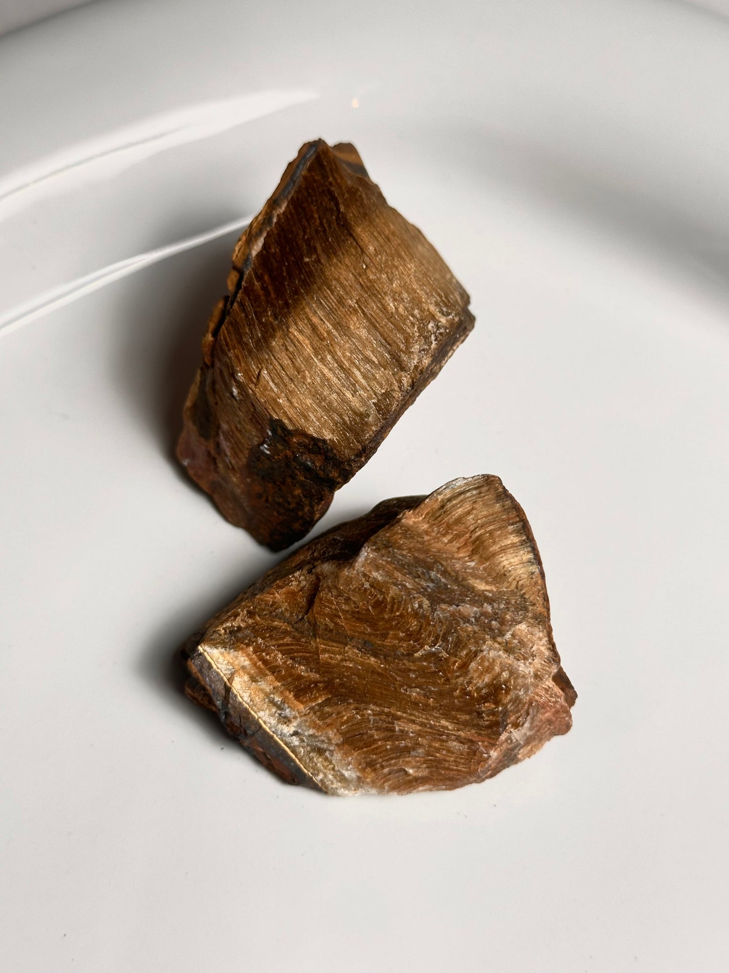 Tijgeroog Ruw