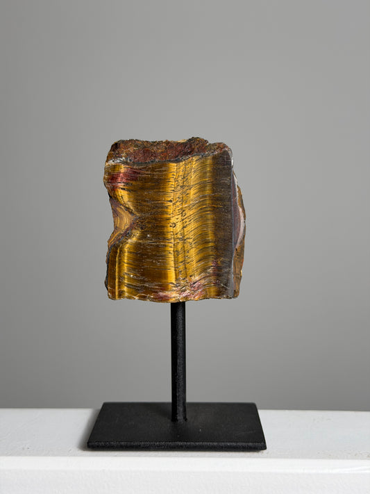 Tijgeroog op standaard