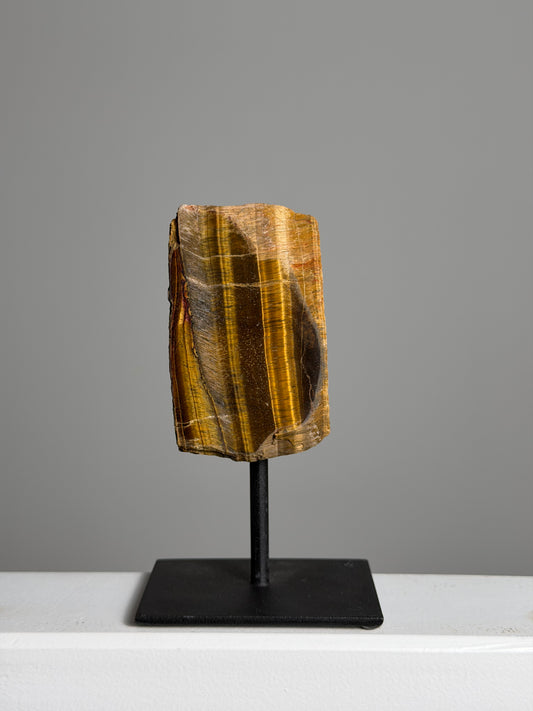 Tijgeroog op standaard