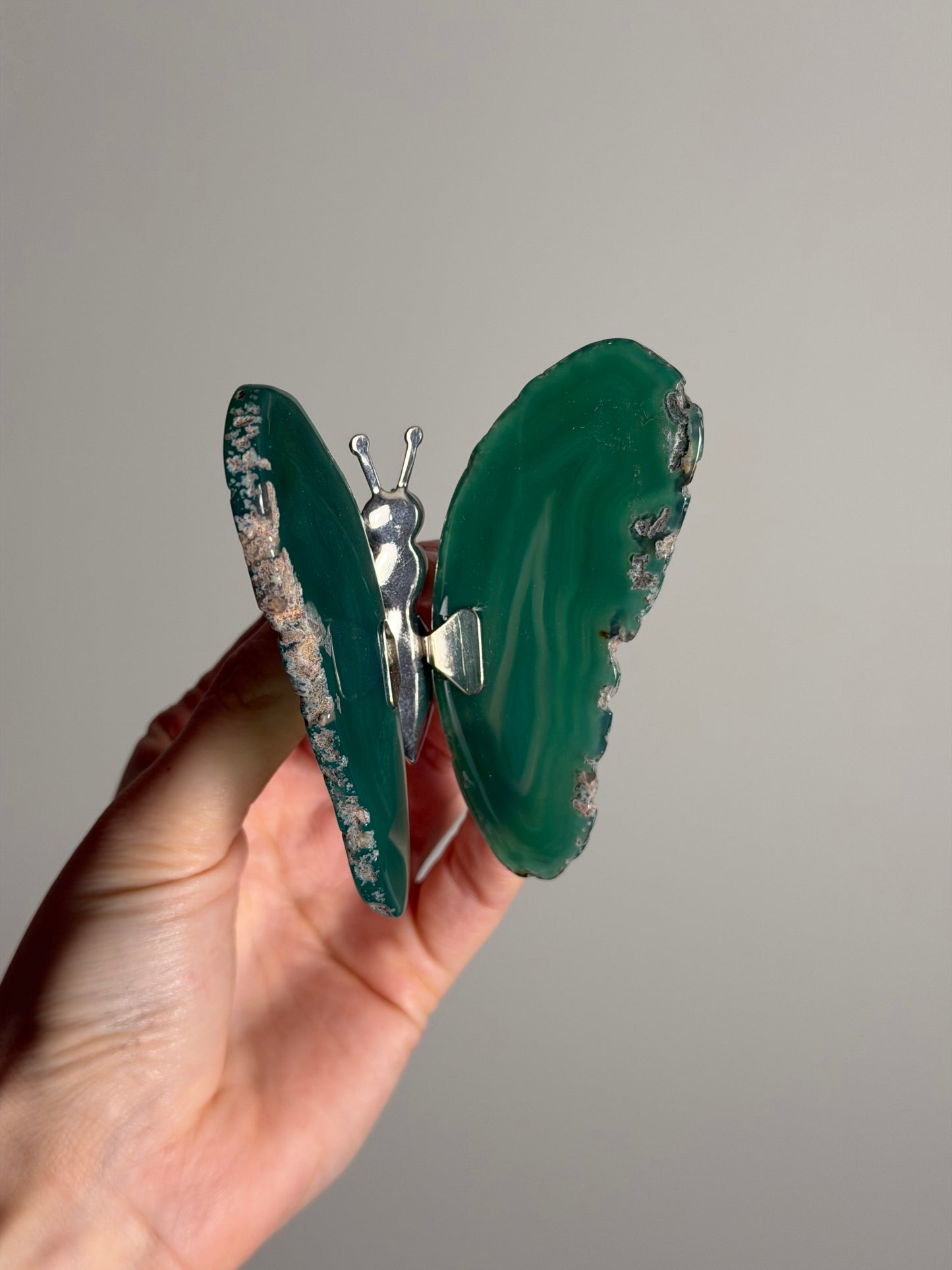 Gekleurde Agaat Vlinder