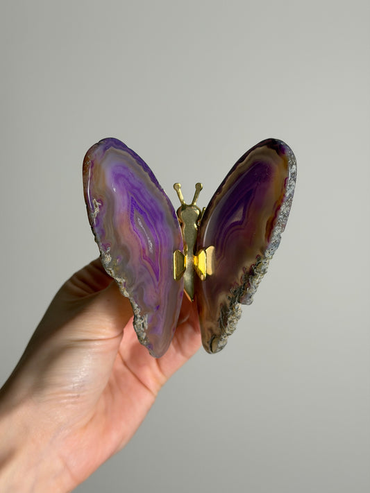 Gekleurde Agaat Vlinder