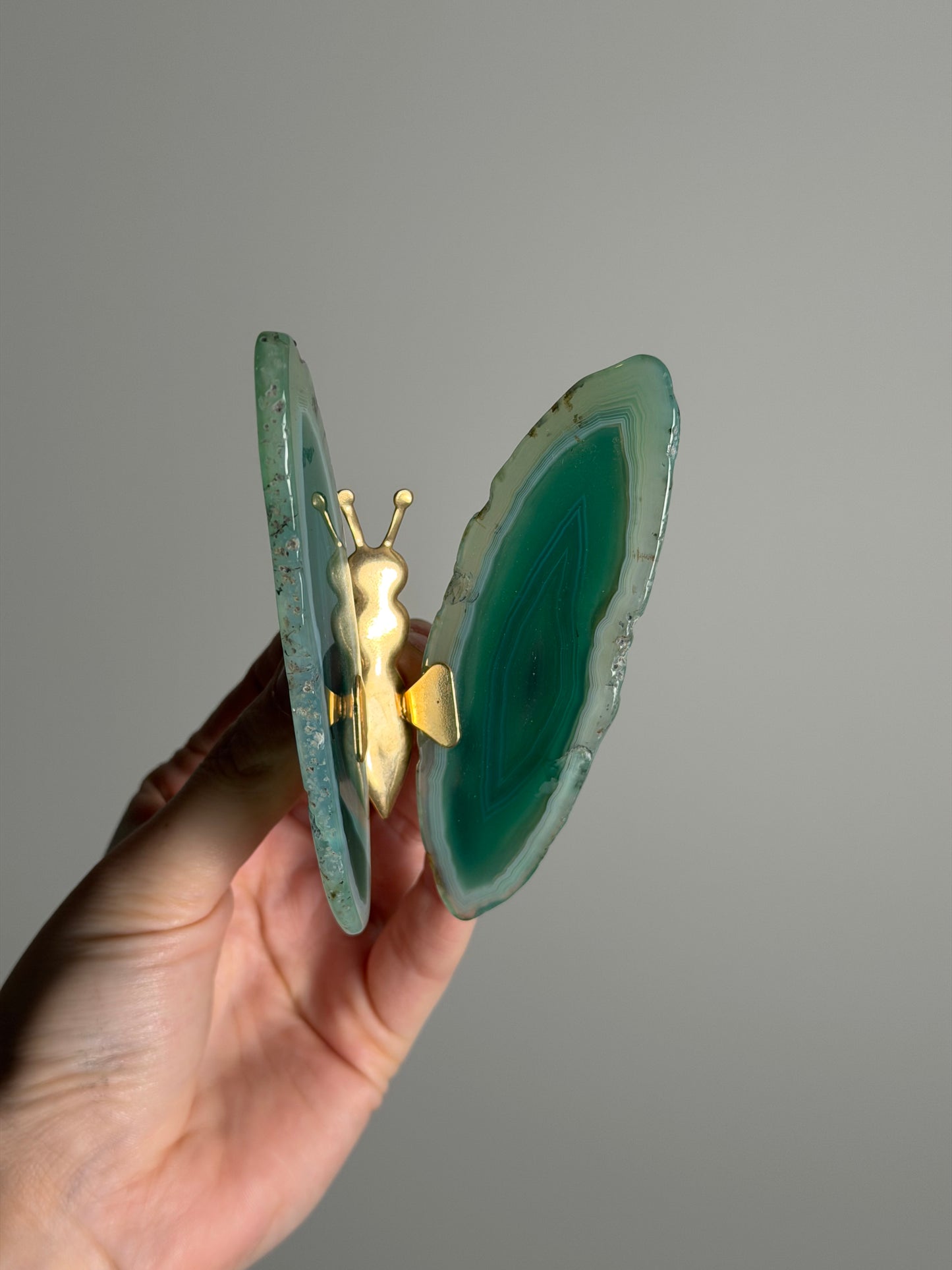 Gekleurde Agaat Vlinder