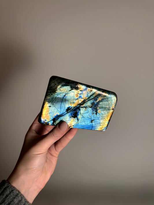 Labradoriet Standvlak