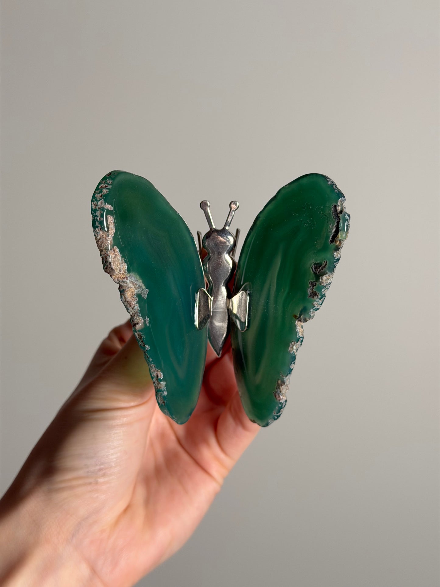 Gekleurde Agaat Vlinder