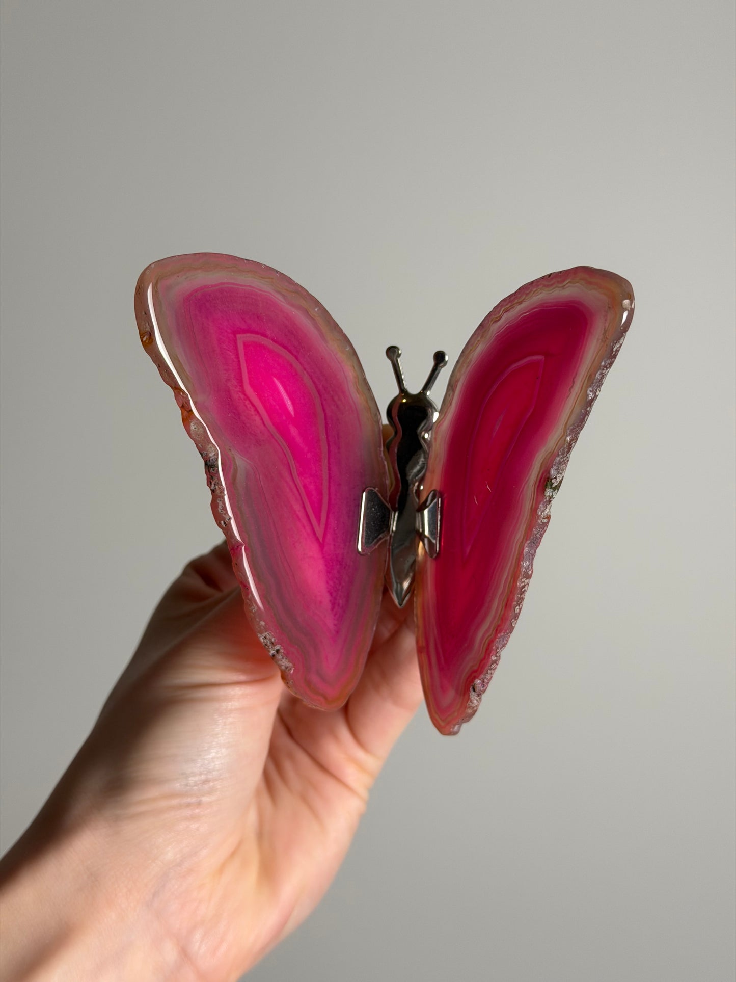 Gekleurde Agaat Vlinder