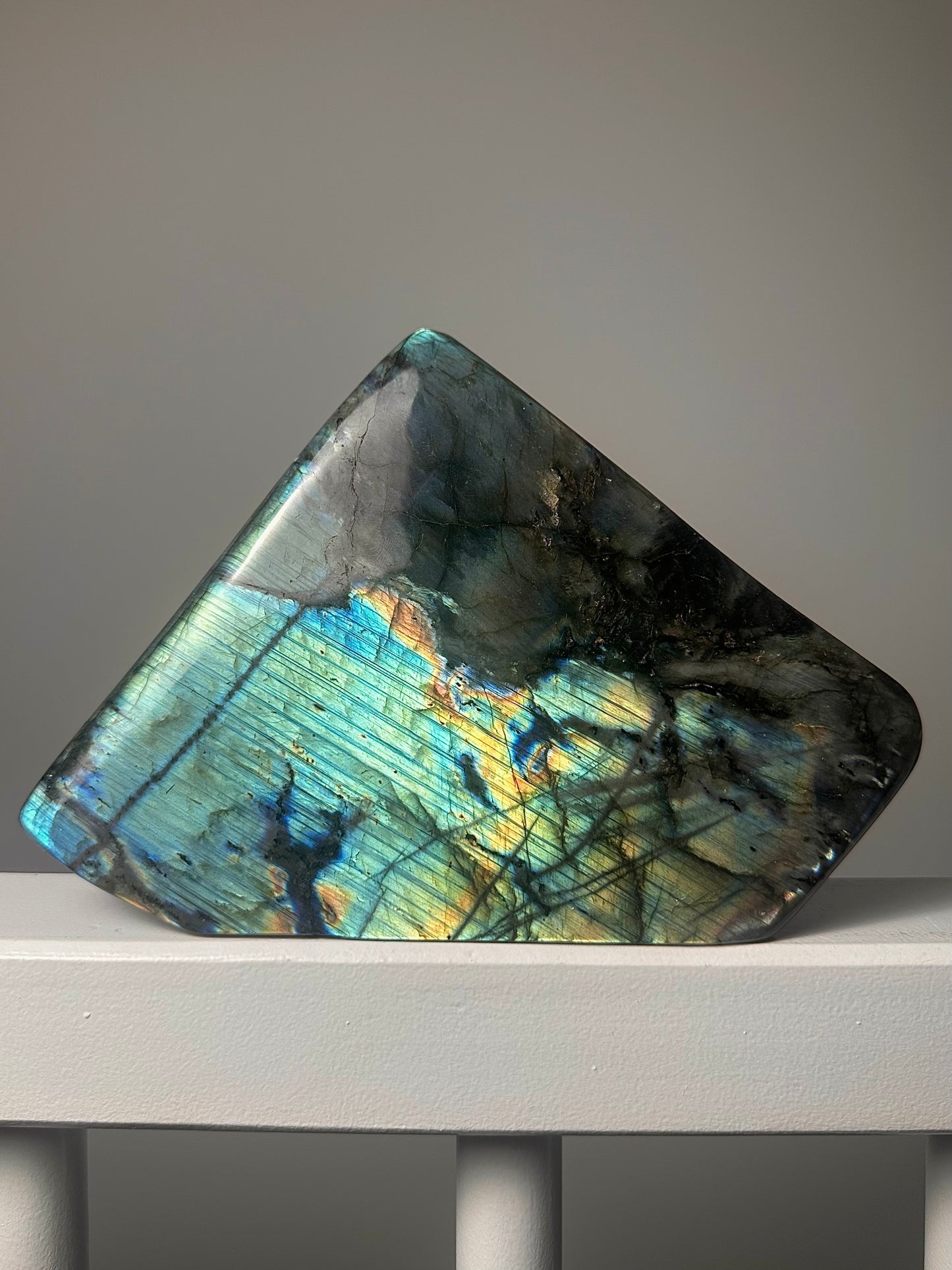 Labradoriet Standvlak