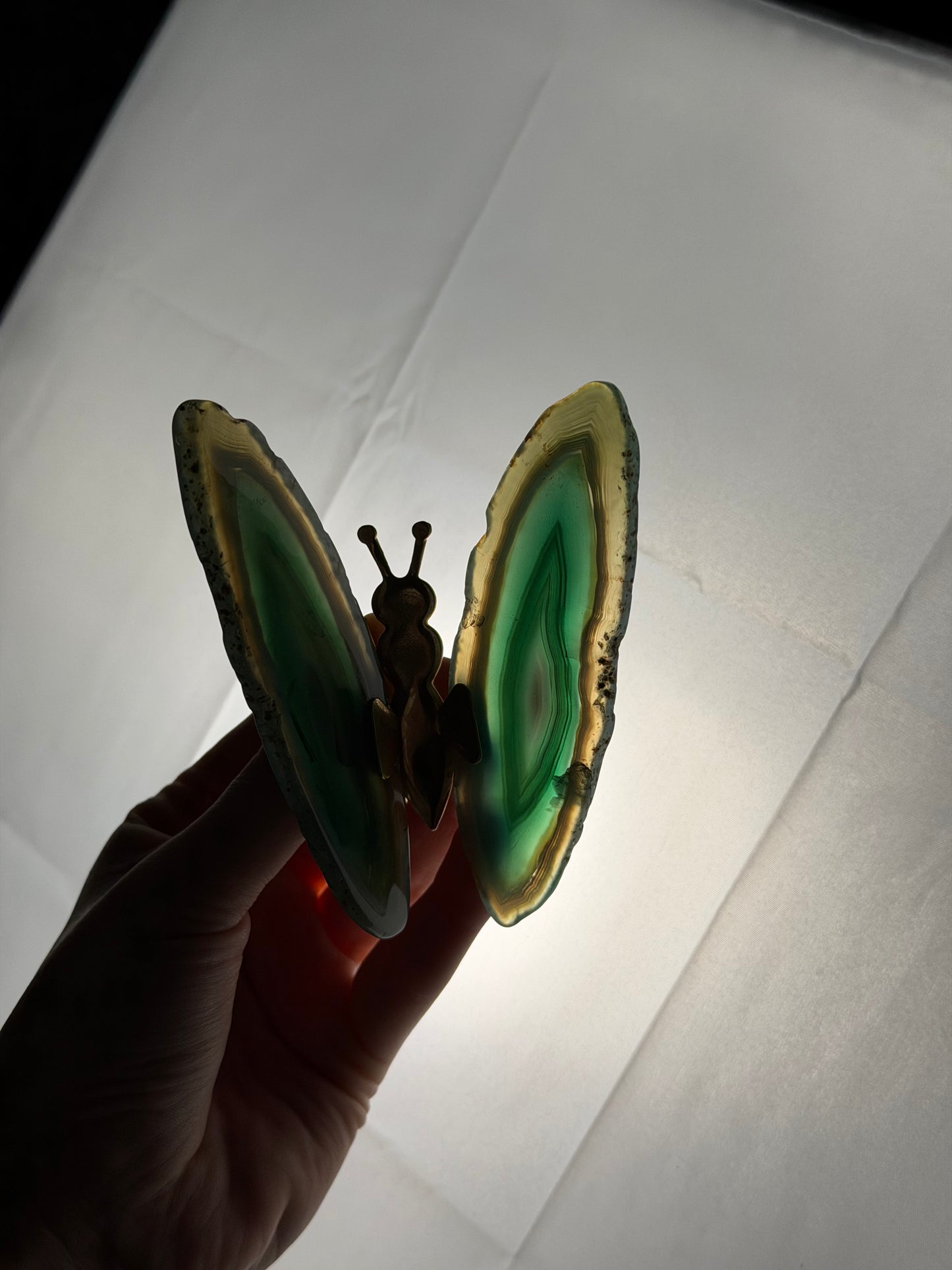 Gekleurde Agaat Vlinder