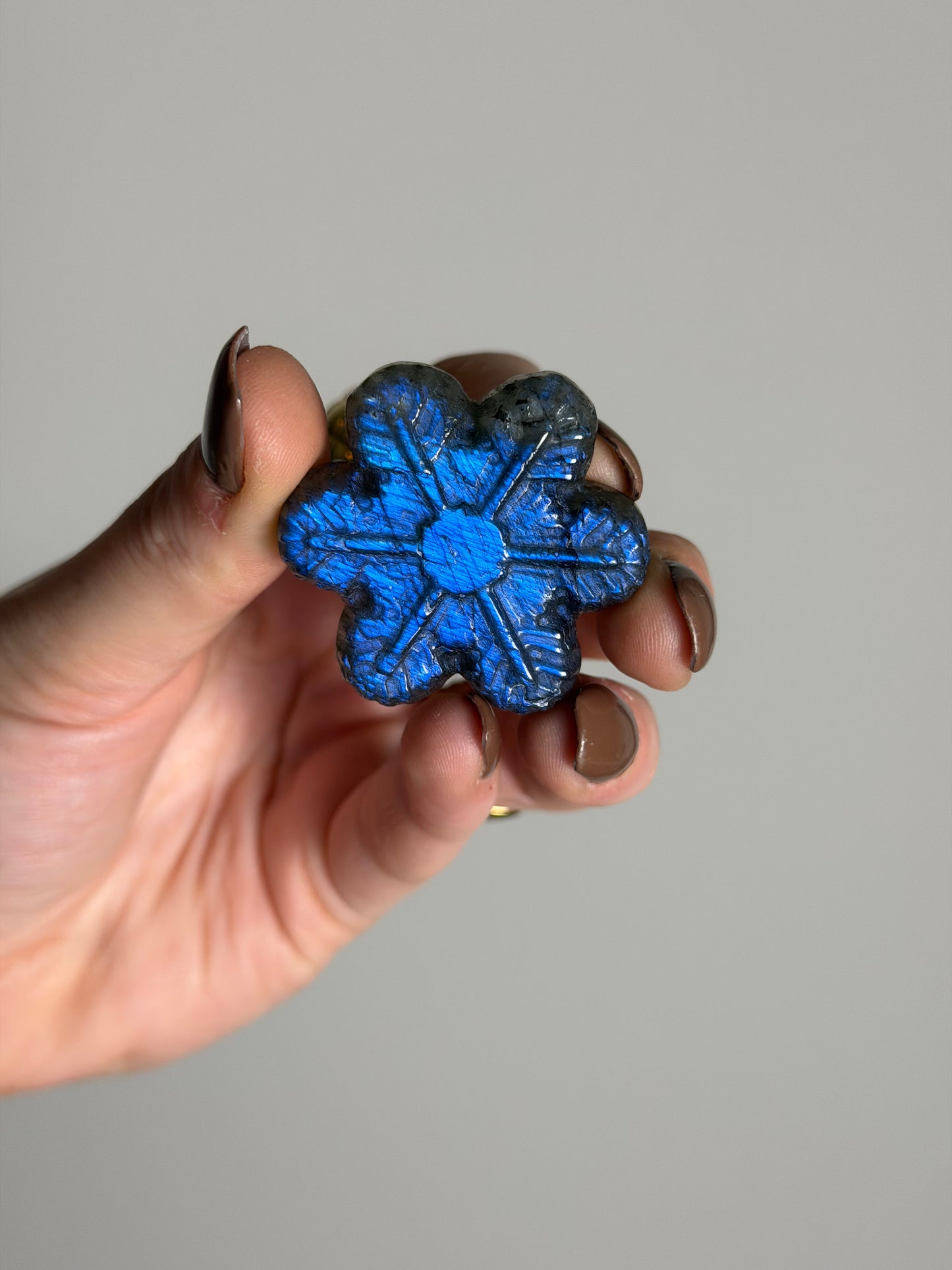 Labradoriet Snowflake