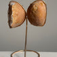 Agaat Geode Vlinder