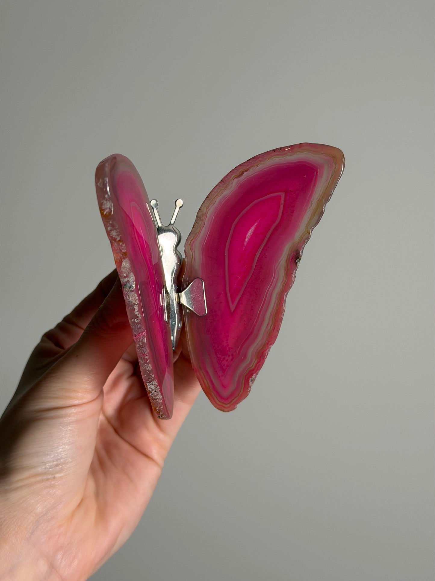 Gekleurde Agaat Vlinder