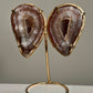 Agaat Geode Vlinder