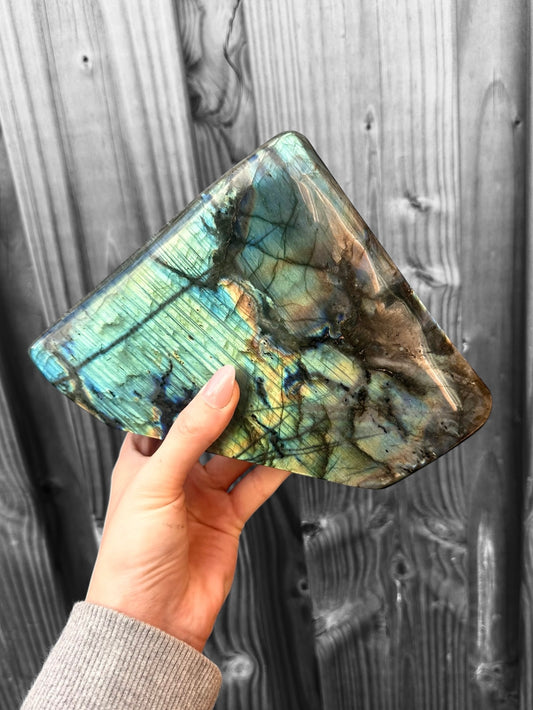 Labradoriet Standvlak