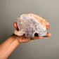 Roze Amethist Olifant