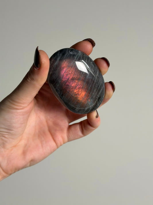 Labradoriet Palmsteen