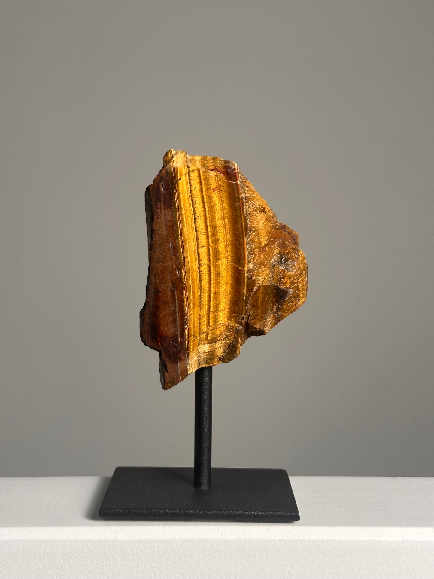 Tijgeroog op standaard