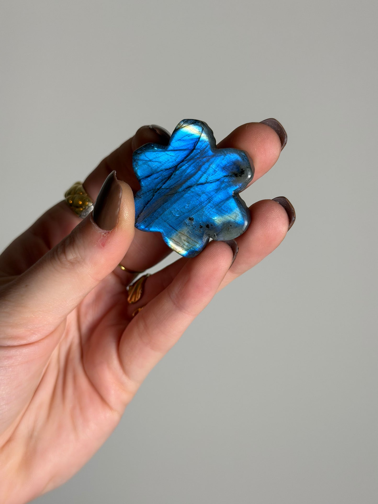 Labradoriet Snowflake