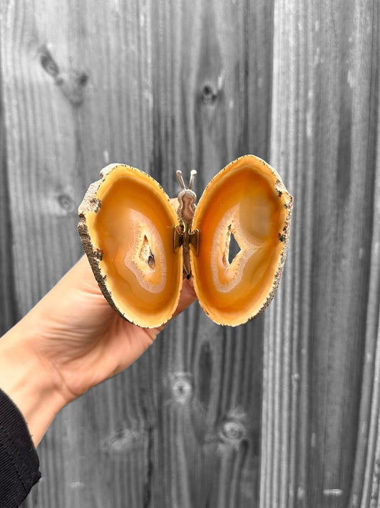 Vlinder Medium