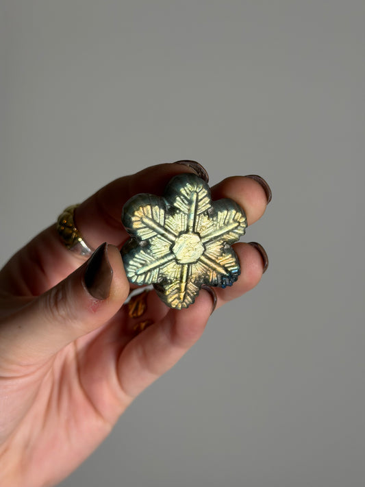 Labradoriet Snowflake