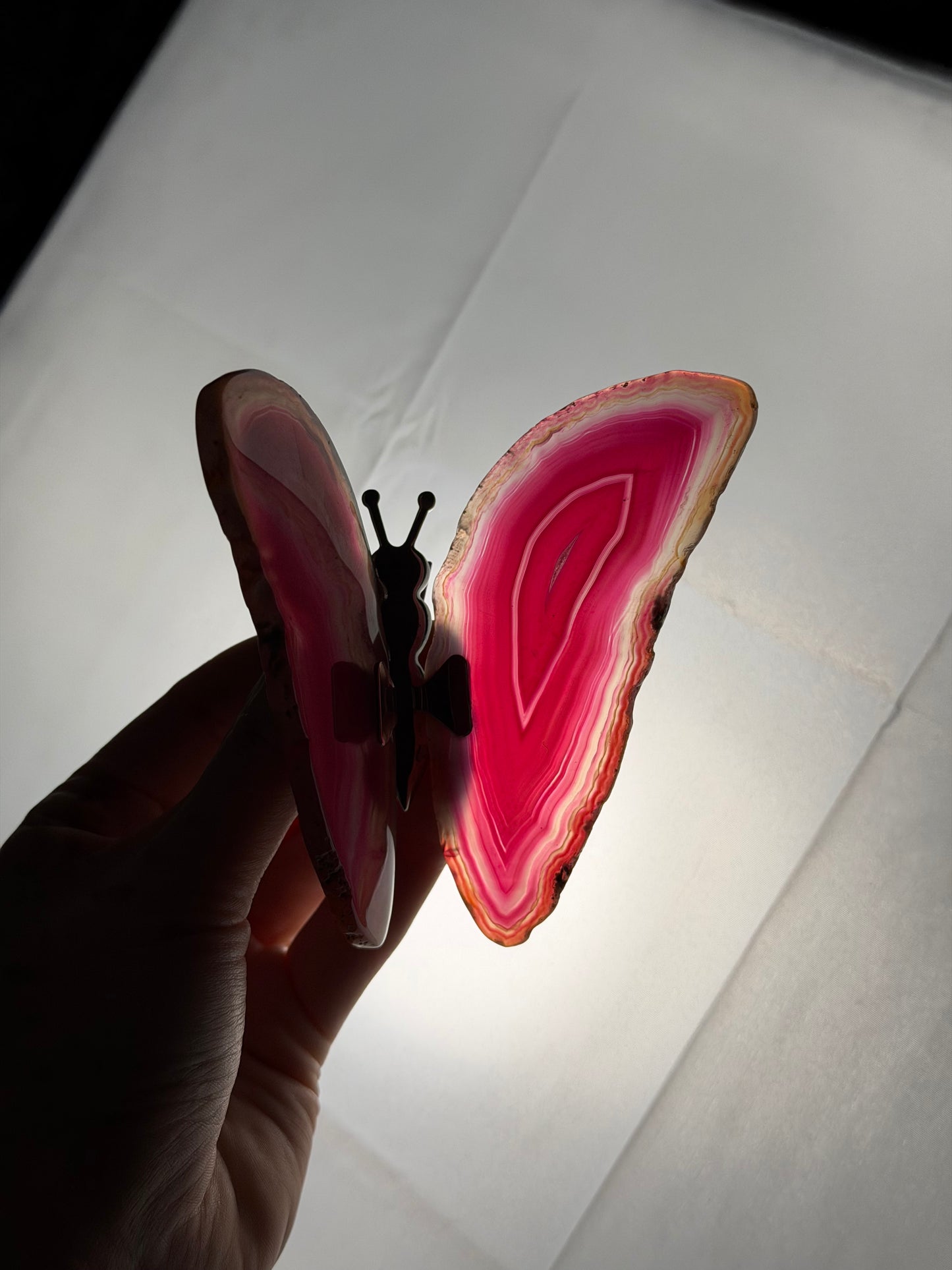 Gekleurde Agaat Vlinder