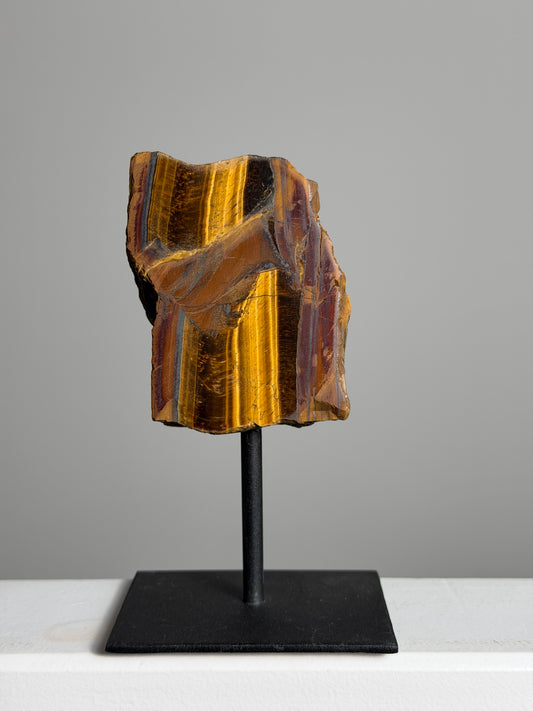 Tijgeroog op standaard