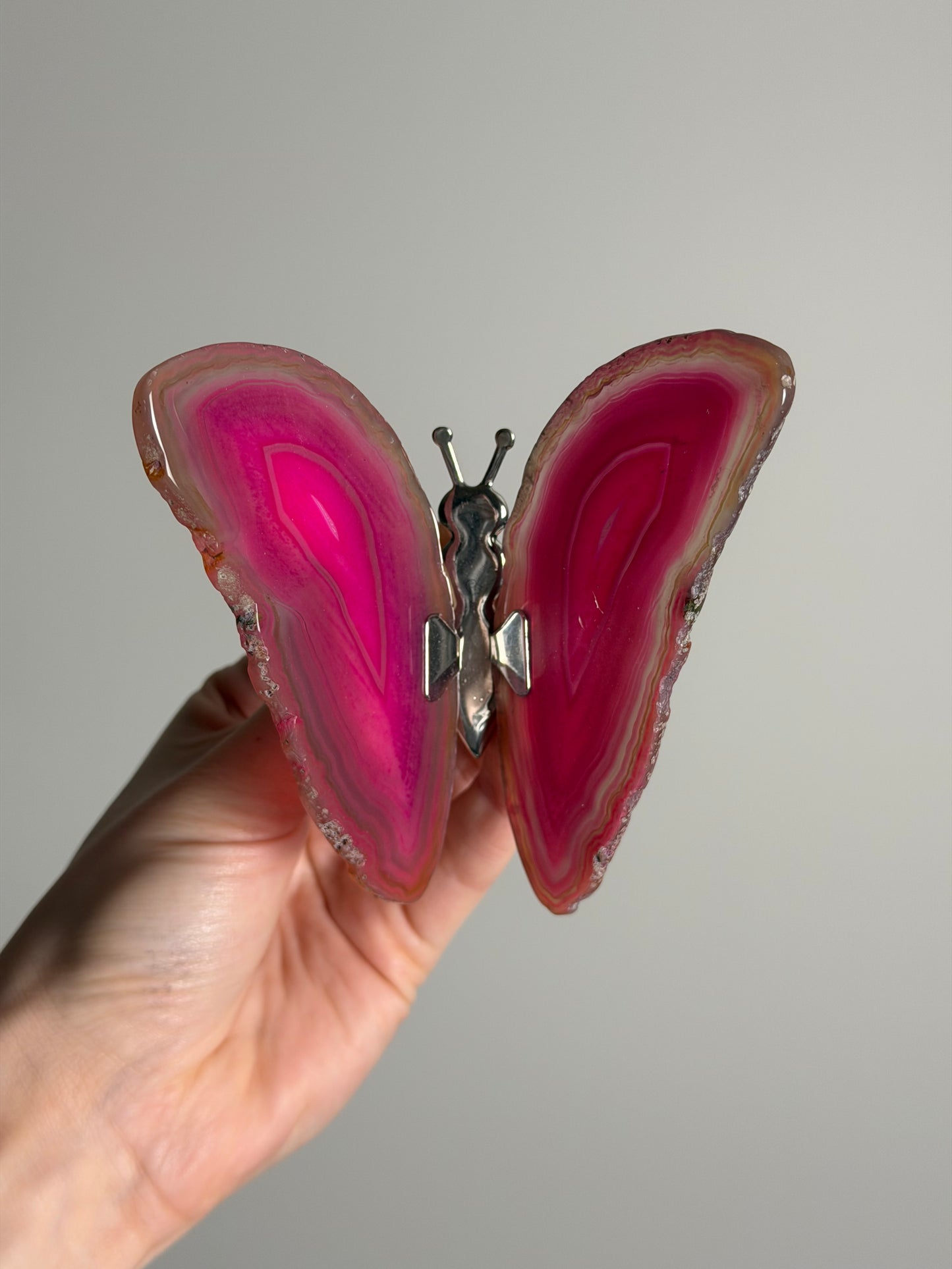 Gekleurde Agaat Vlinder