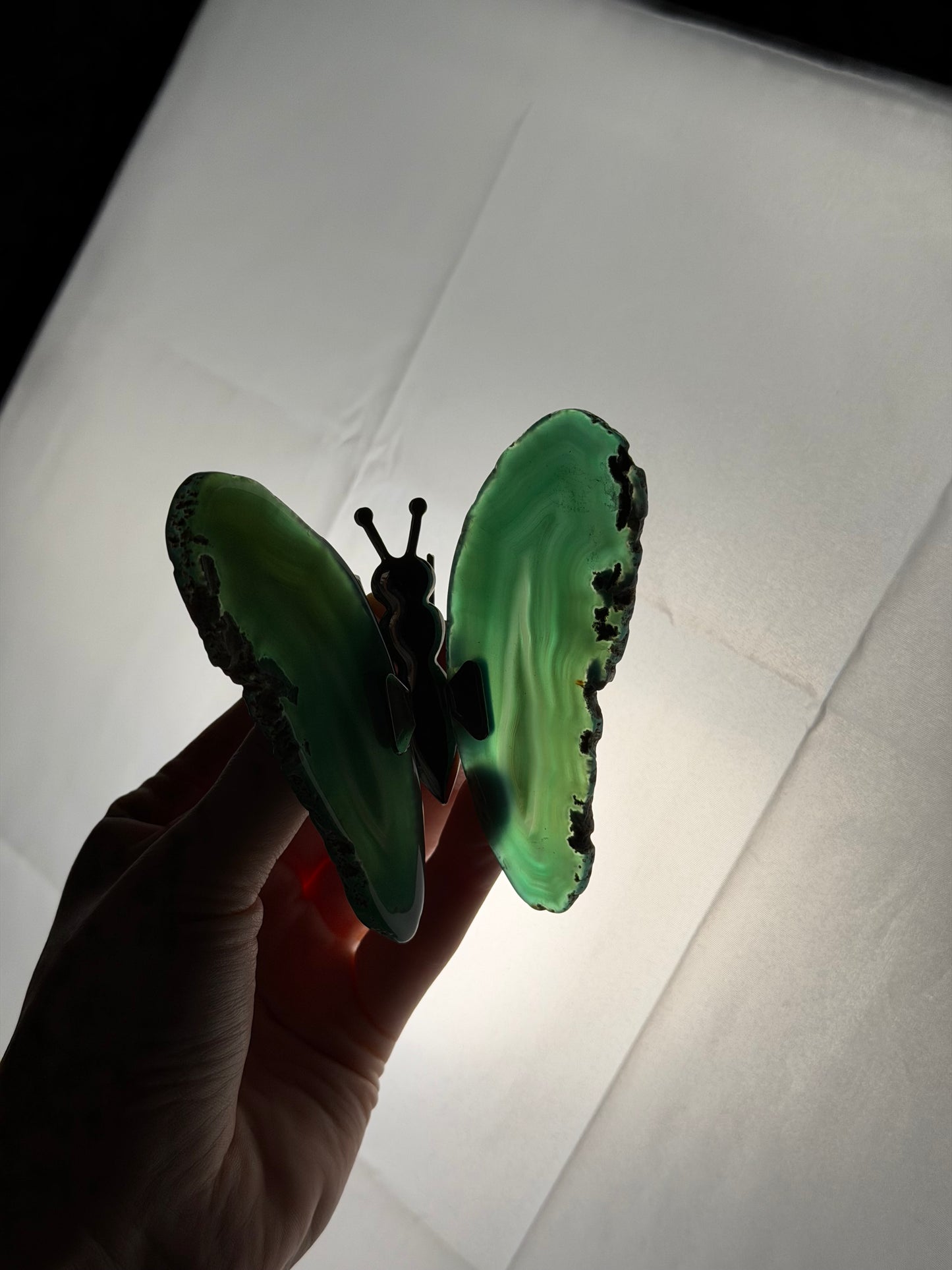 Gekleurde Agaat Vlinder