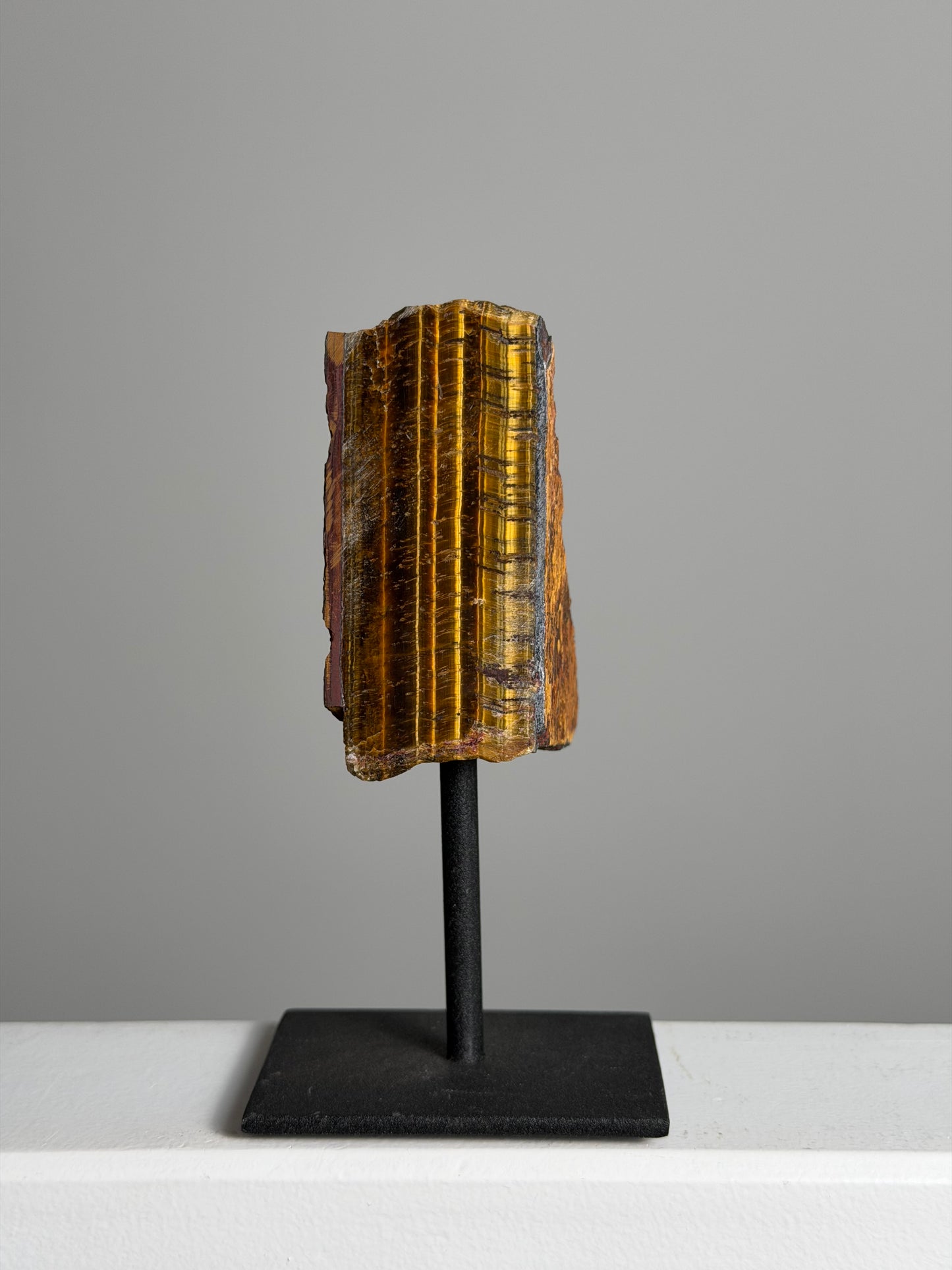 Tijgeroog op standaard