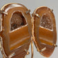 Agaat Geode Vlinder