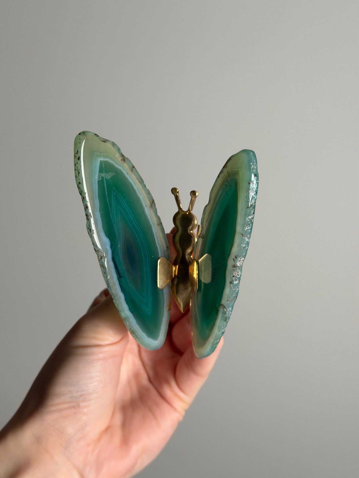 Gekleurde Agaat Vlinder