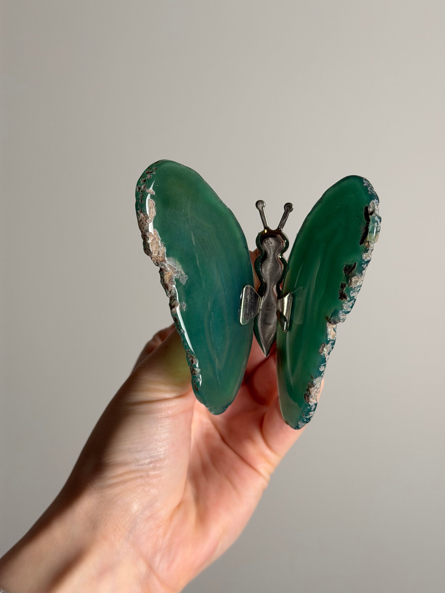 Gekleurde Agaat Vlinder