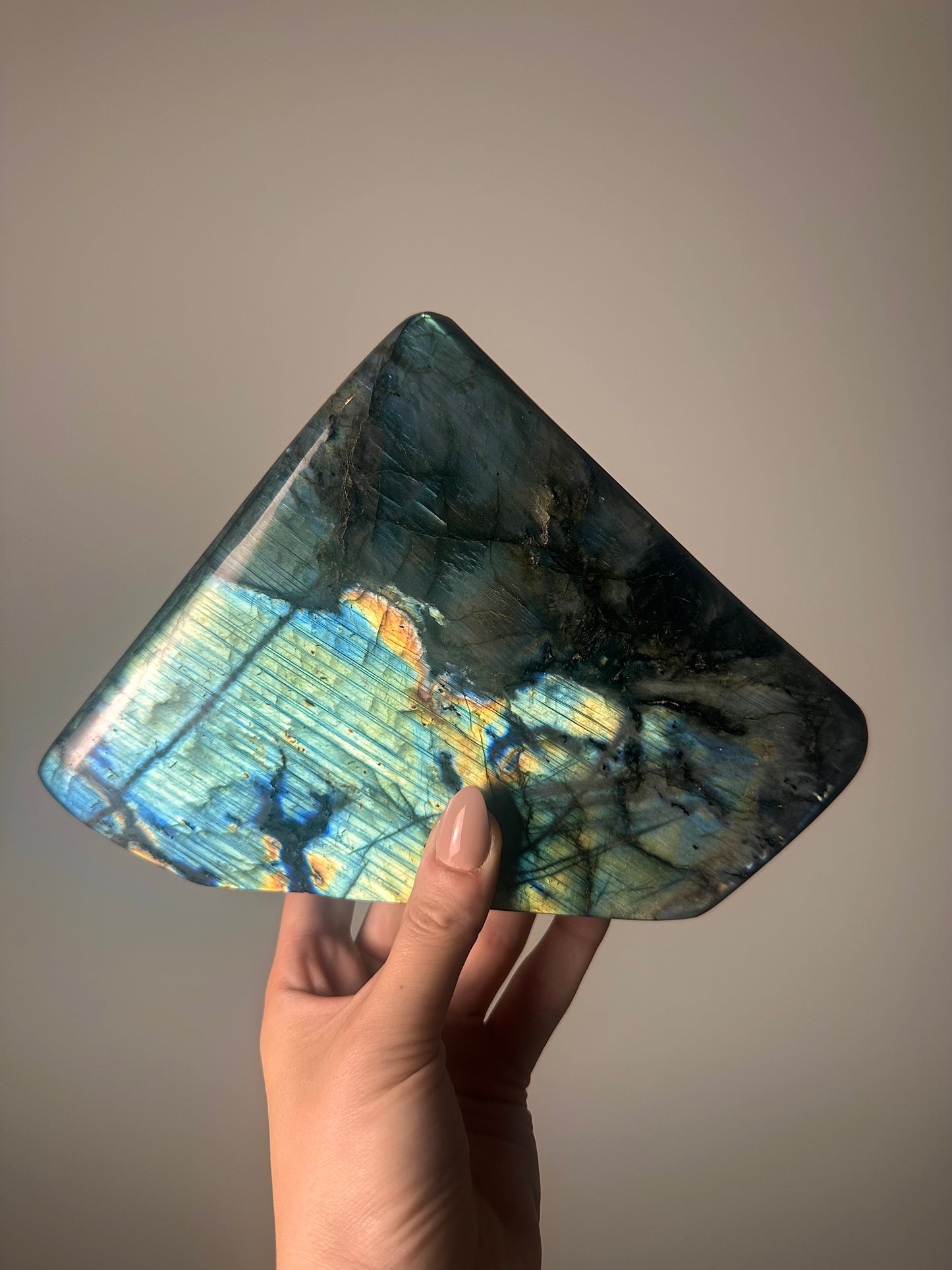 Labradoriet Standvlak