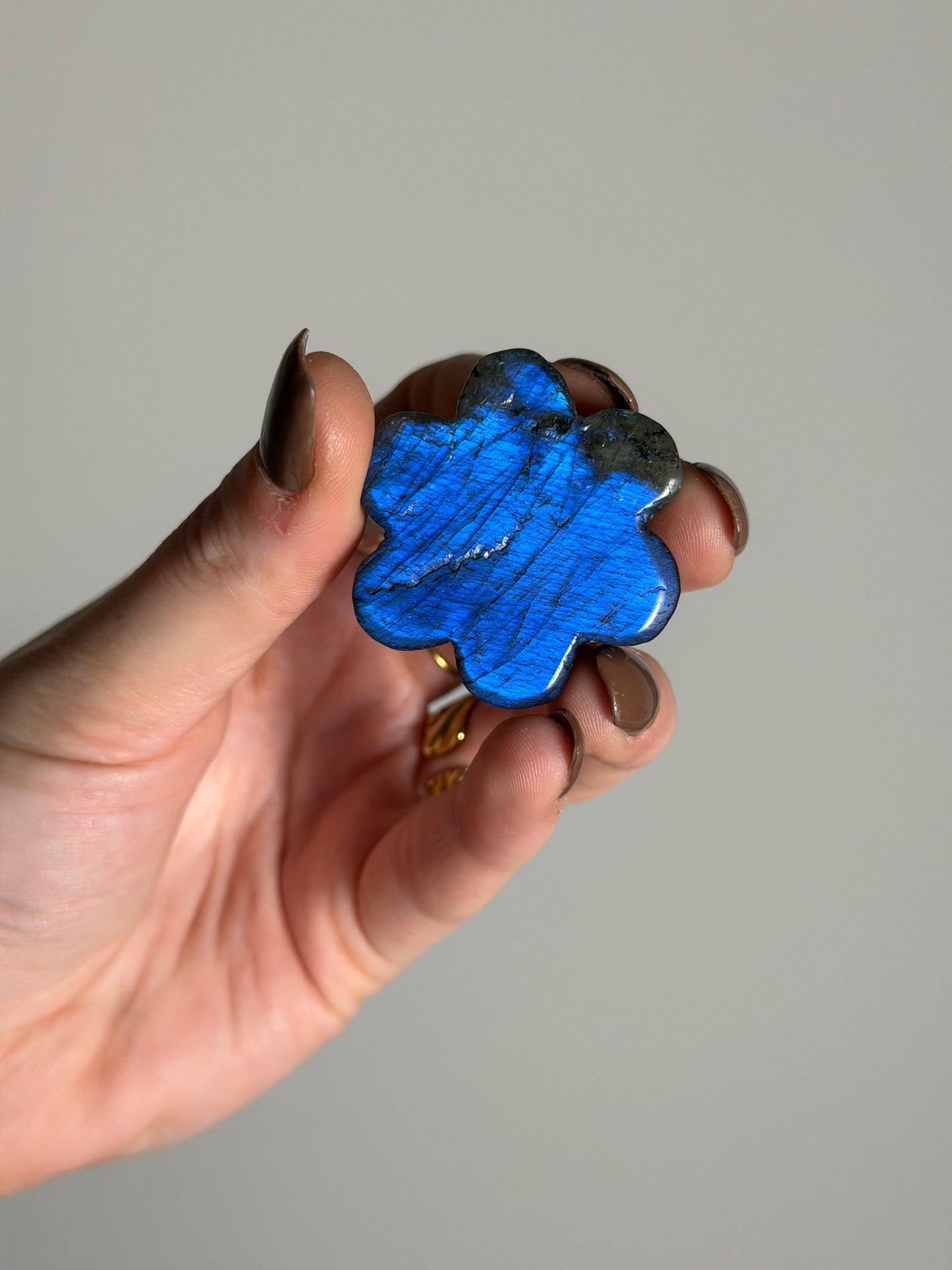 Labradoriet Snowflake