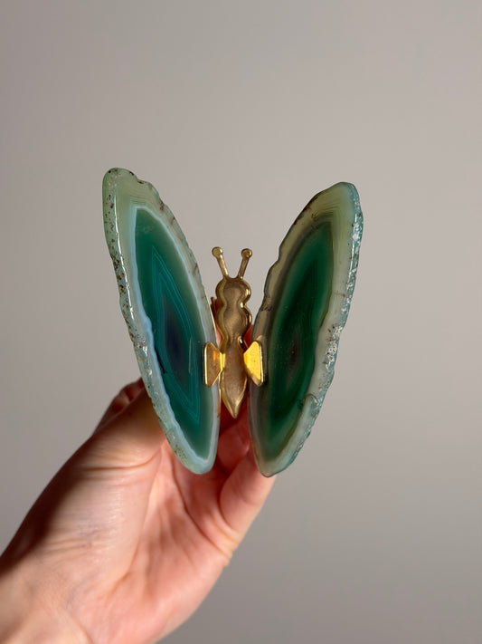 Gekleurde Agaat Vlinder