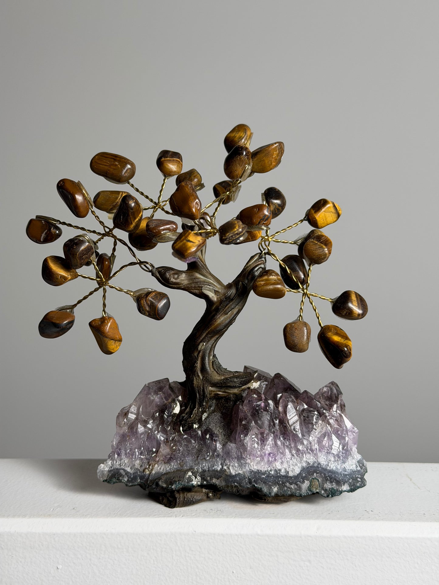 Tijgeroog Edelsteenboom