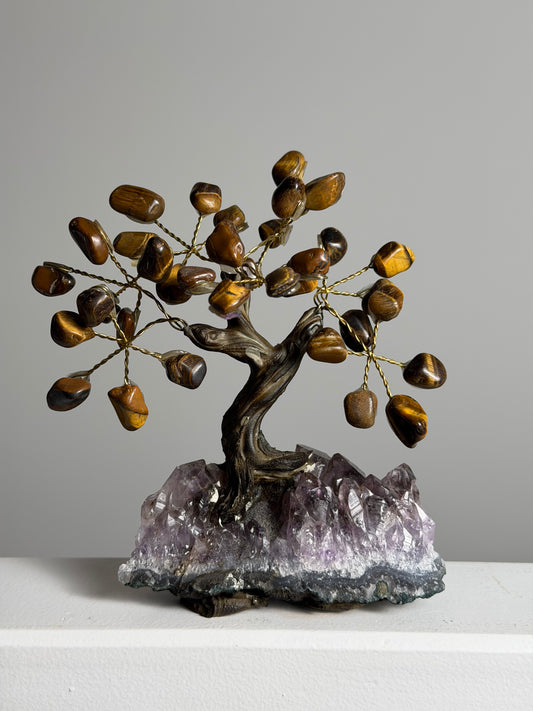 Tijgeroog Edelsteenboom