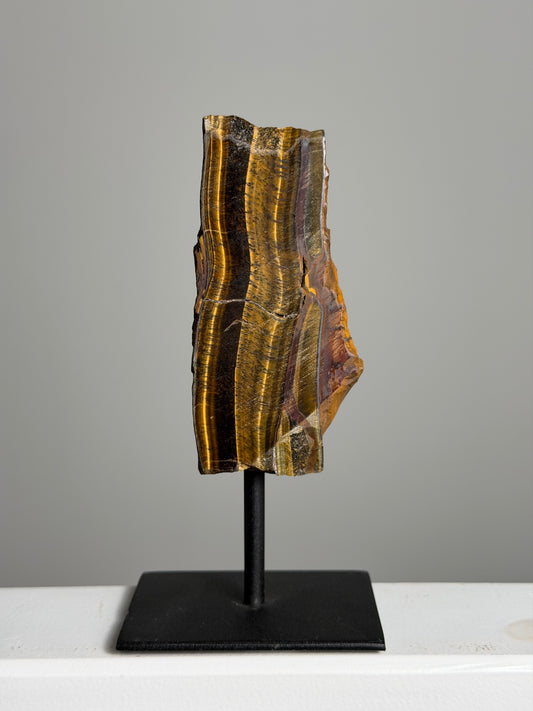 Tijgeroog op standaard