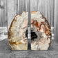 Versteend Hout boekensteun